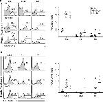 CD4 Antibody in Flow Cytometry (Flow)