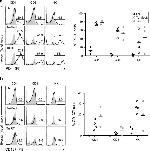 CD4 Antibody in Flow Cytometry (Flow)