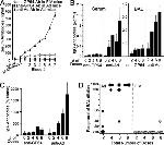 Baculovirus Envelope gp64 Antibody in ELISA (ELISA)