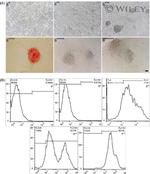 ID4 Antibody in Flow Cytometry (Flow)