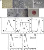 ID4 Antibody in Flow Cytometry (Flow)