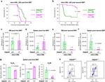 CD4 Antibody in Flow Cytometry (Flow)