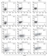 CD23 Antibody in Flow Cytometry (Flow)