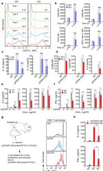 CD25 Antibody in Flow Cytometry (Flow)