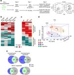 CD41a Antibody in Flow Cytometry (Flow)