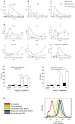 MHC Class II Antibody in Flow Cytometry (Flow)