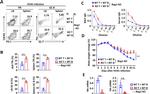 CD95 (APO-1/Fas) Antibody in Flow Cytometry (Flow)