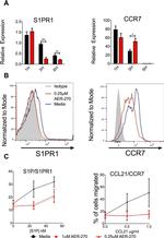 CD197 (CCR7) Antibody in Flow Cytometry (Flow)