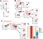 CD209a Antibody in Flow Cytometry (Flow)