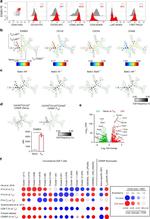 EOMES Antibody in Flow Cytometry (Flow)