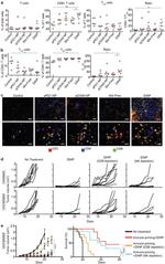 CD4 Antibody in Flow Cytometry (Flow)