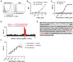 CD369 (Clec7a, Dectin-1) Antibody in Flow Cytometry (Flow)