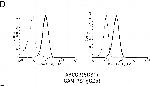 Mouse IgG2b Cross-Adsorbed Secondary Antibody in Flow Cytometry (Flow)