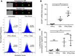 Glucocorticoid Receptor Antibody