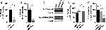 PMCA ATPase Antibody