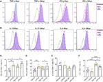 IL-13 Antibody in Flow Cytometry (Flow)