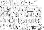 CD279 (PD-1) Antibody in Flow Cytometry (Flow)