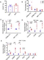 CD45 Antibody in Flow Cytometry (Flow)