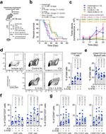 CD45 Antibody in Flow Cytometry (Flow)