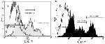 CD24 Antibody in Flow Cytometry (Flow)