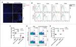 CD40 Antibody in Flow Cytometry (Flow)