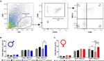 CD40 Antibody in Flow Cytometry (Flow)