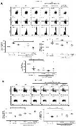 IL-4 Antibody in Flow Cytometry (Flow)