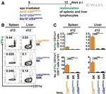 IFN gamma Antibody in Flow Cytometry (Flow)