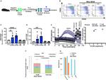 CD62L (L-Selectin) Antibody in Flow Cytometry (Flow)