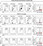 CD45 Antibody in Flow Cytometry (Flow)