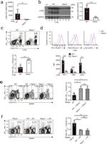 CD279 (PD-1) Antibody in Flow Cytometry (Flow)