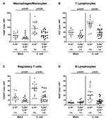 FOXP3 Antibody in Immunohistochemistry (IHC)