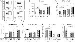 CD107a (LAMP-1) Antibody in Flow Cytometry (Flow)