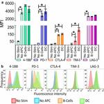 CD366 (TIM3) Antibody in Flow Cytometry (Flow)