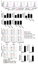 IL-10 Antibody in Flow Cytometry (Flow)