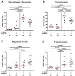 FOXP3 Antibody in Immunohistochemistry (IHC)