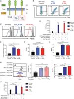 https://www.thermofisher.com/antibody/images/150/tfs_15462_JEM_20191166_Fig1.jpg?time=20220826