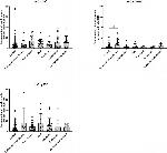 FOXP3 Antibody in Immunohistochemistry (IHC)