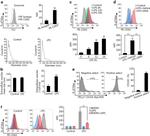 CD326 (EpCAM) Antibody in Flow Cytometry (Flow)