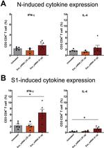 IL-4 Antibody in Flow Cytometry (Flow)