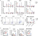 IL-13 Antibody in Flow Cytometry (Flow)