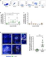 CD185 (CXCR5) Antibody in Flow Cytometry (Flow)