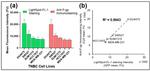 P-Glycoprotein Antibody in Immunocytochemistry (ICC/IF)