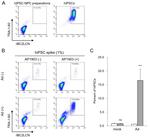 TRA-1-60 Antibody in Flow Cytometry (Flow)