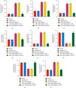 CD8 Antibody in Flow Cytometry (Flow)