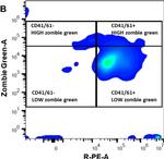 Mouse IgG (H+L) Cross-Adsorbed Secondary Antibody in Flow Cytometry (Flow)