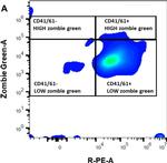 Mouse IgG (H+L) Cross-Adsorbed Secondary Antibody in Flow Cytometry (Flow)