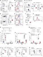 CD27 Antibody in Flow Cytometry (Flow)