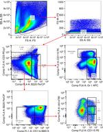 CD115 (c-fms) Antibody in Flow Cytometry (Flow)