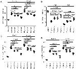 IL-4 Antibody in Flow Cytometry (Flow)